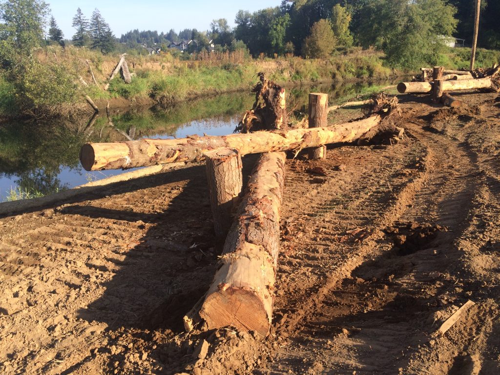 Coweeman River Mitigation Bank Receives Final Approval Ecological