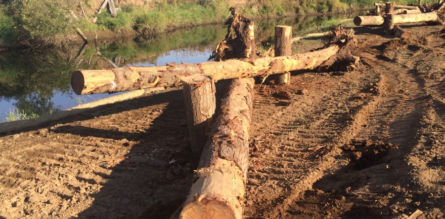 Coweeman River Mitigation Bank Receives Final Approval