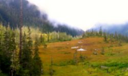 Juneau Wetland Management Plan Update