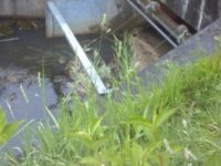 Lake Sacajawea Flushing Facilities Upgrade