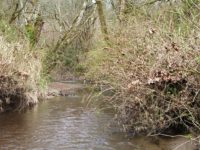 South Fork McCorkle Creek Detention Structure