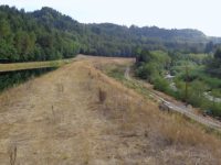 Swift Canal: Second Opinion