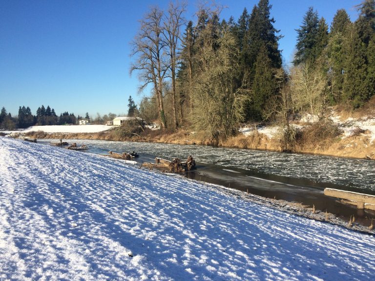 Coweeman River Mitigation Bank Receives Final Approval Ecological