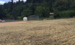 Kalama Elementary Delineation & Kalama Elementary/Middle School SEPA