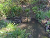 Cougar Creek Trunk Sewer Repair