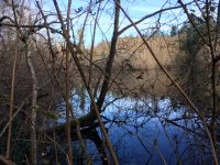 Sakai Park and Trail