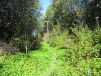 Well #6 Transmission Line Replacement